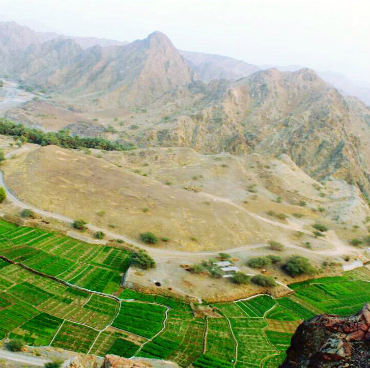 سالم العيسائي
