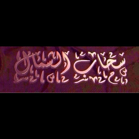 انور ضاري الرويلي